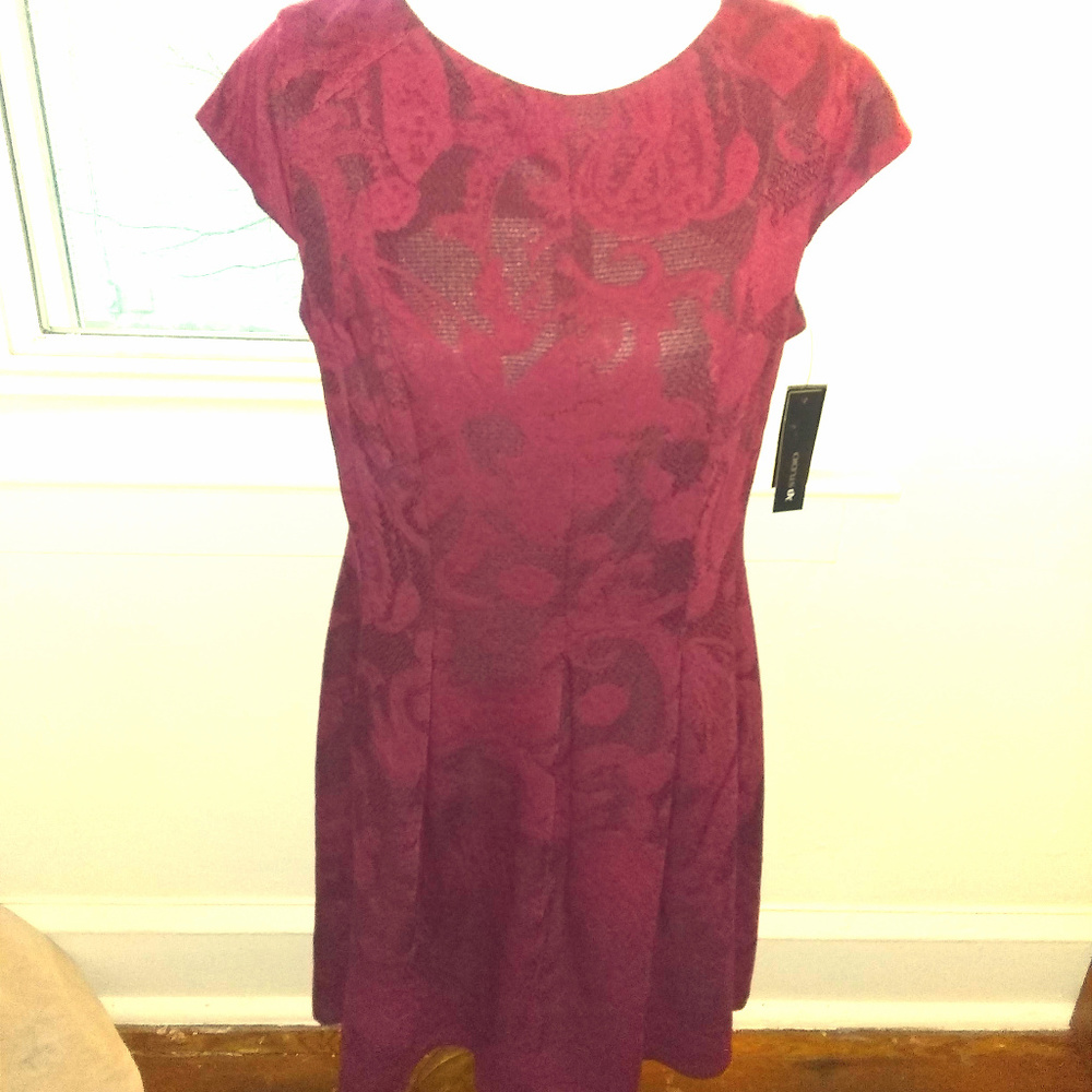 AB Studio Maroon Dress